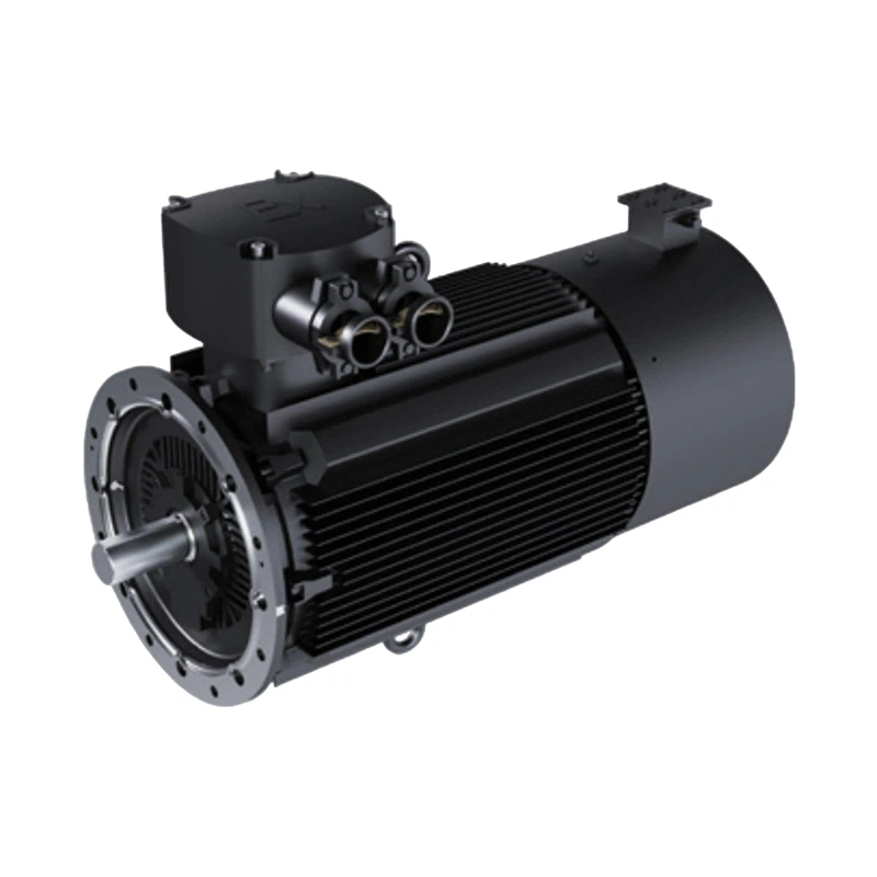 Motor Tahan Ledakan Magnet Permanen Untuk Minyak Dan Gas